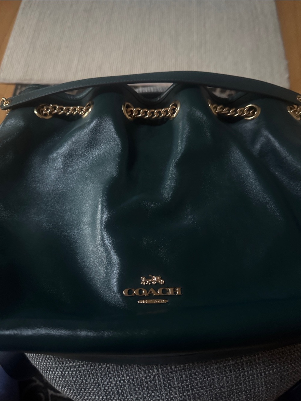Coach Evelyn bag Forest Green Leather Drawstring Shoulder Bag with Gold Chain